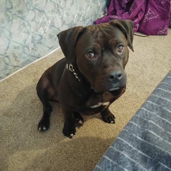 Meet your Posher, Destiny - Picture 1 of 1